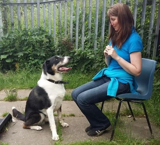 Business listing image