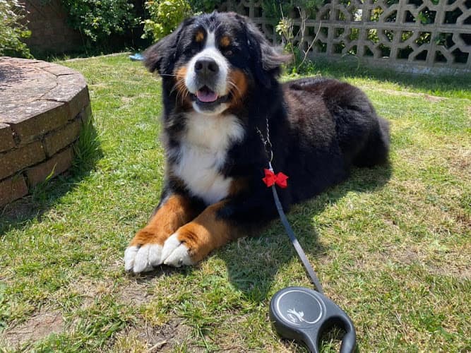 Business listing image