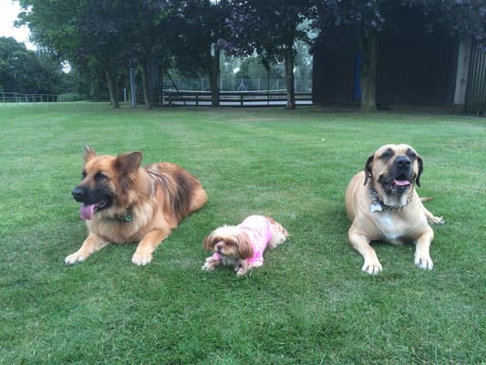 Business listing image