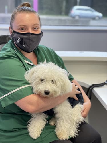 Business listing image