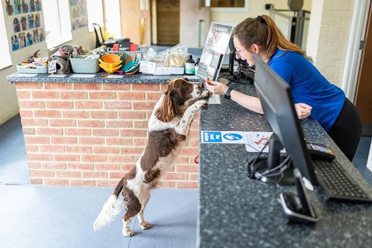 Business listing image