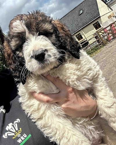 Business listing image