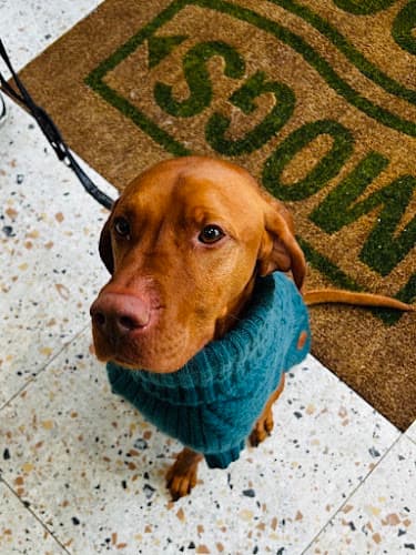 Business listing image