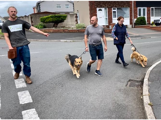 Business listing image