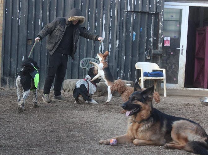 Business listing image