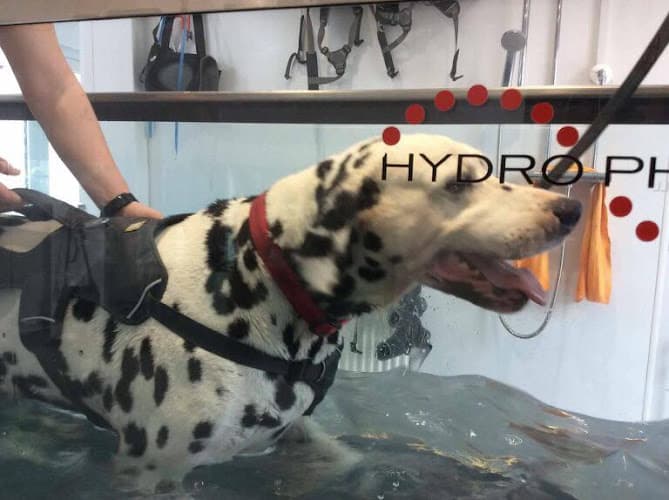 Business listing image