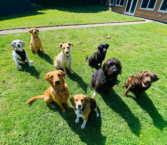 Business listing image