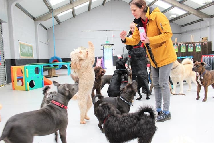 Business listing image