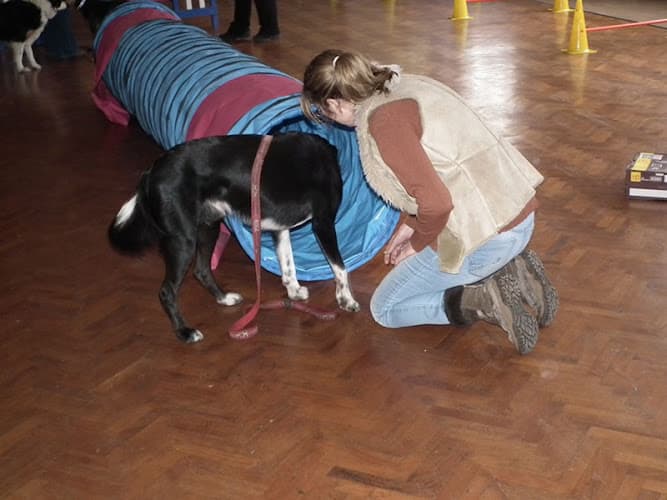 Business listing image