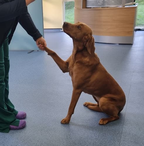 Business listing image