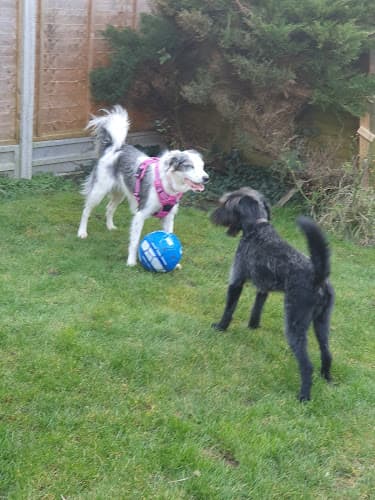 Business listing image