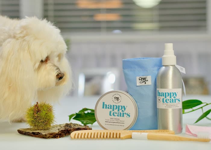 Business listing image