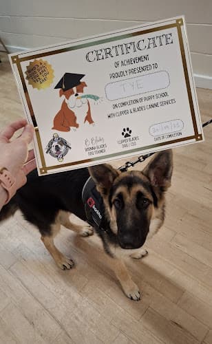 Business listing image