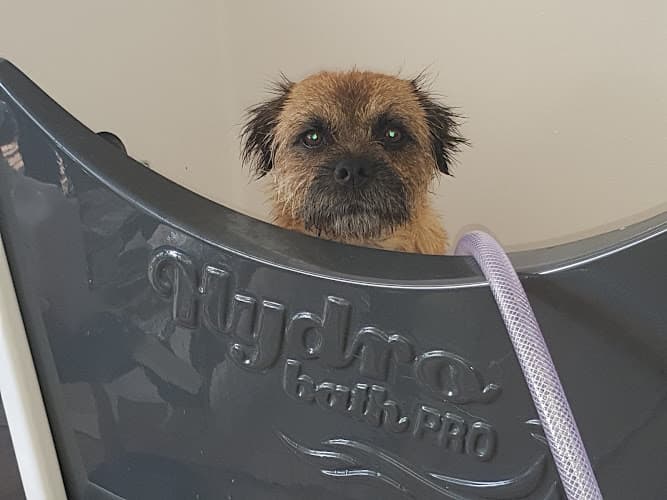 Business listing image