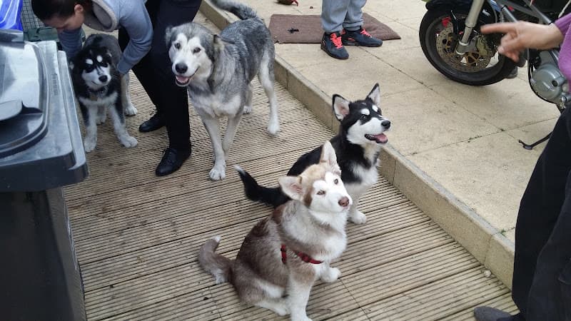 Business listing image