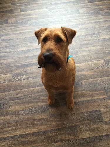 Business listing image