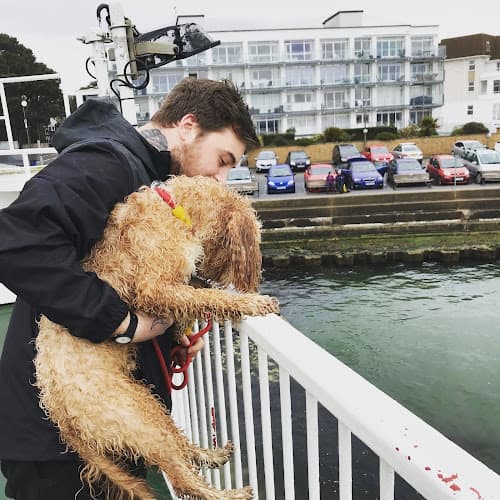 Business listing image