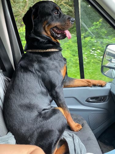 Business listing image