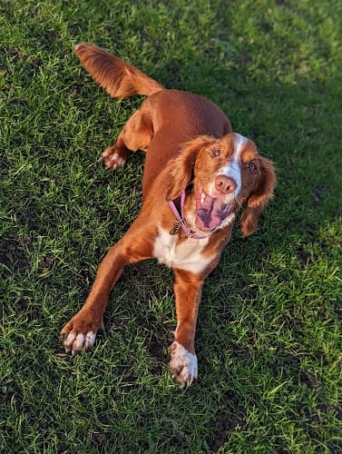 Business listing image