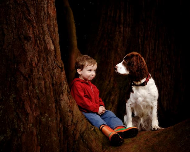 Business listing image