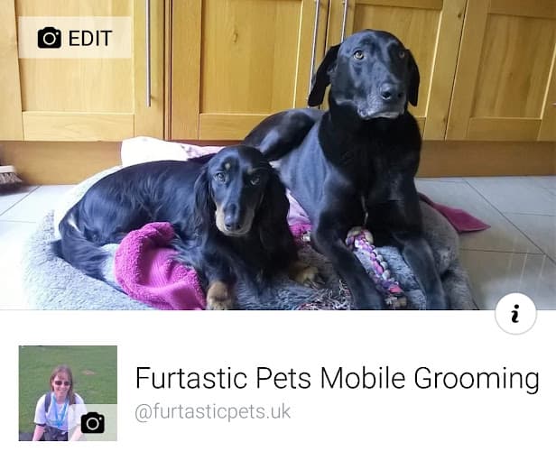 Business listing image