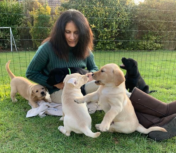 Business listing image