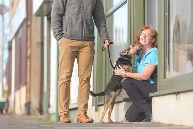 Business listing image