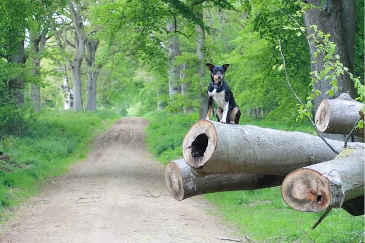 Business listing image