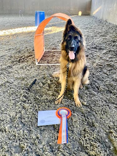 Business listing image