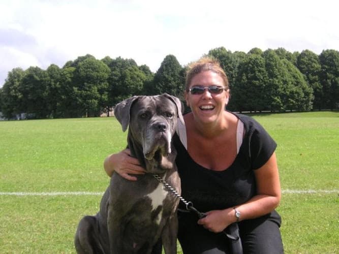 Business listing image