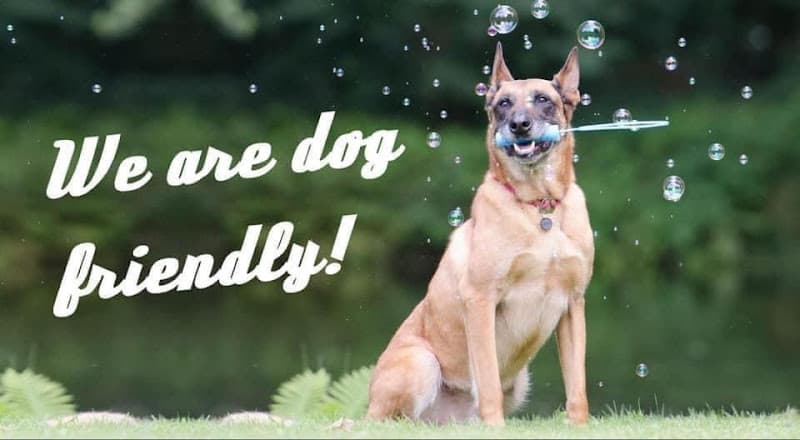 Business listing image