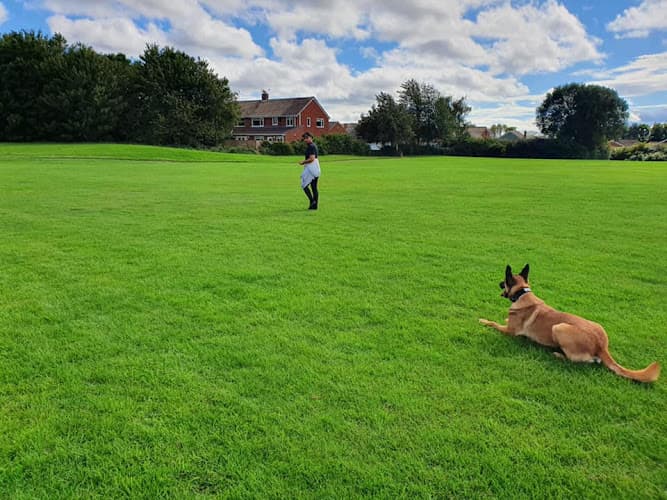 Business listing image