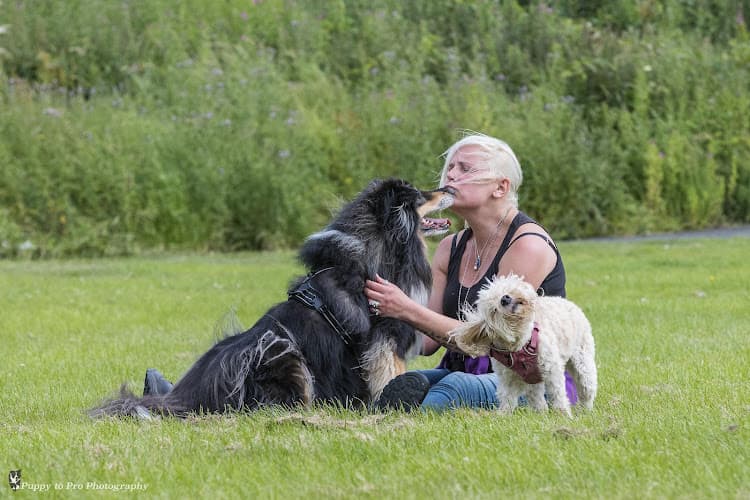 Business listing image