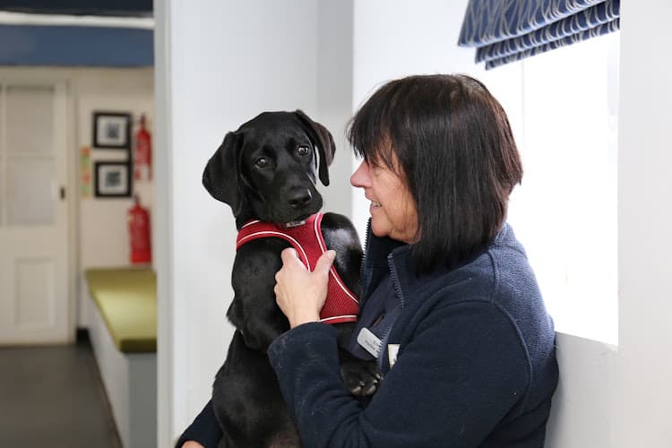 Business listing image