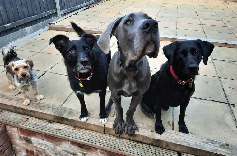 Business listing image