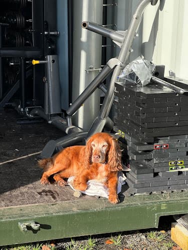 Business listing image