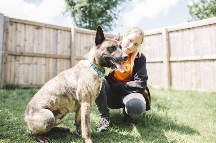 Business listing image