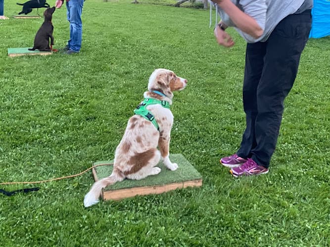 Business listing image