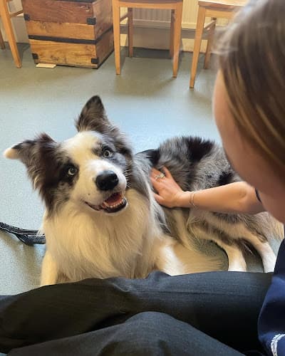 Business listing image