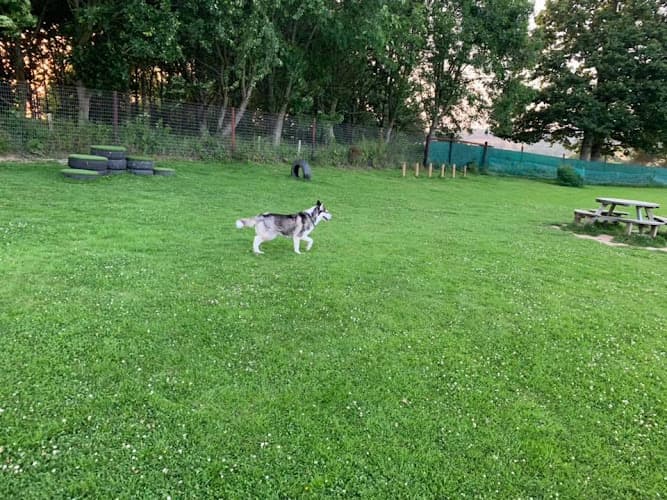 Business listing image