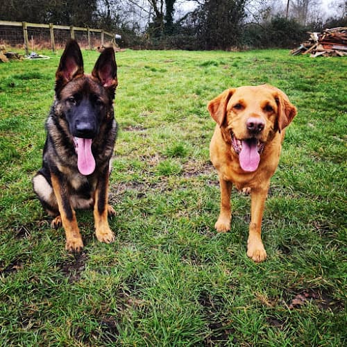 Business listing image