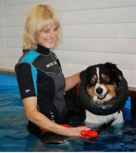 Business listing image