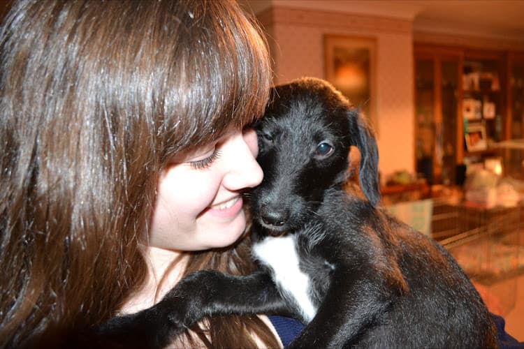 Business listing image