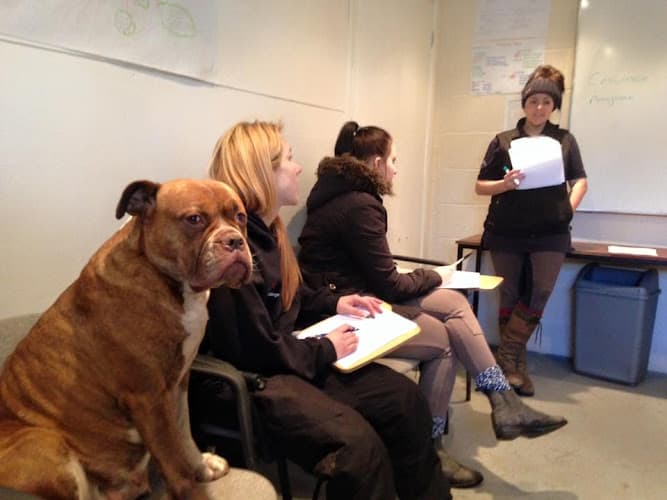 Business listing image