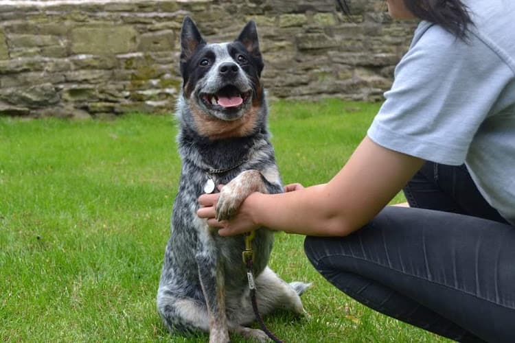 Business listing image