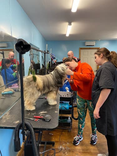 Business listing image