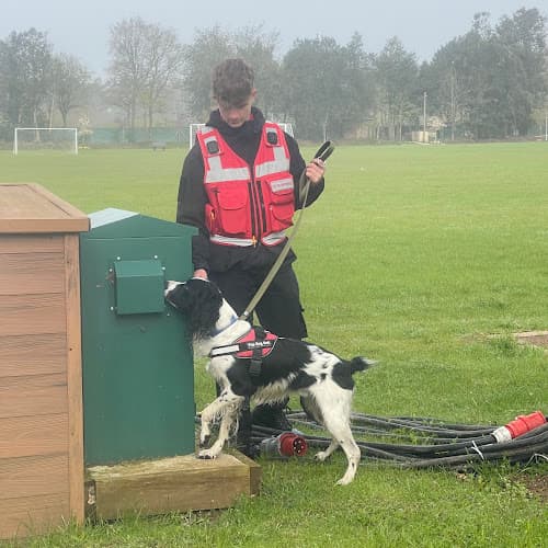 Business listing image