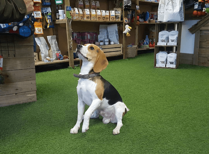 Business listing image