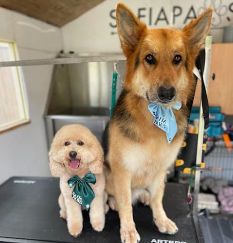 Business listing image