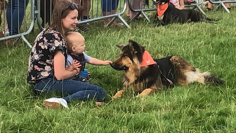 Business listing image